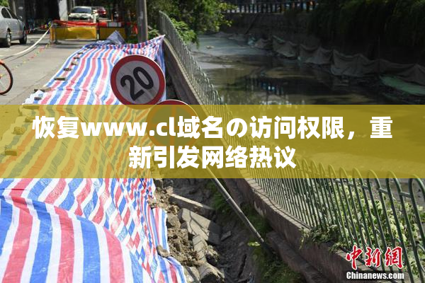 恢复www.cl域名の访问权限，重新引发网络热议