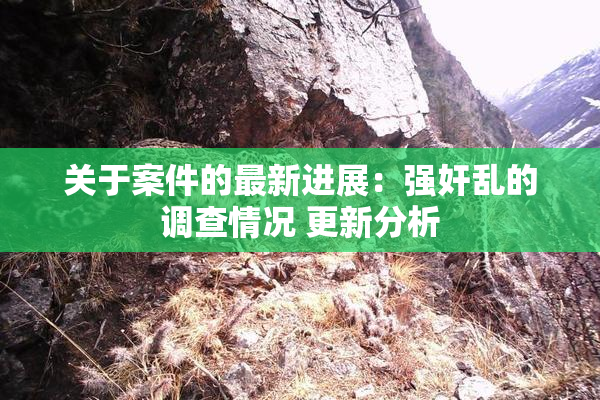 关于案件的最新进展：强奸乱的调查情况 更新分析