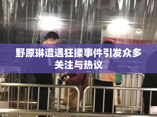 野原琳遭遇狂揉事件引发众多关注与热议