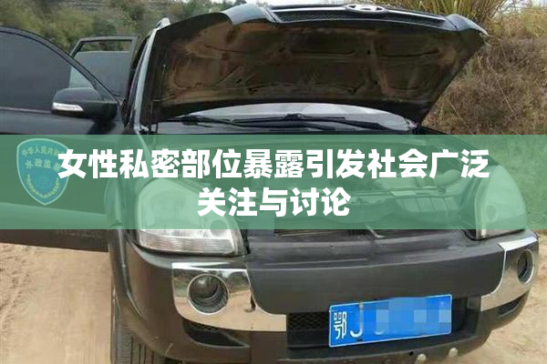 女性私密部位暴露引发社会广泛关注与讨论