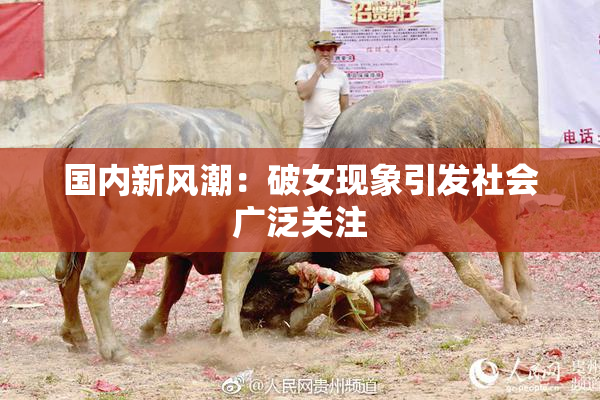 国内新风潮：破女现象引发社会广泛关注
