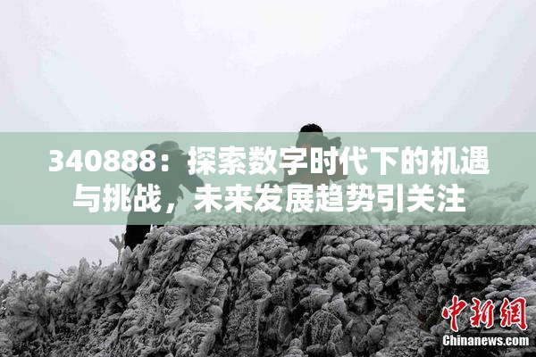 340888：探索数字时代下的机遇与挑战，未来发展趋势引关注