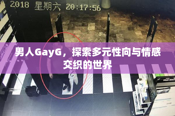 男人GayG，探索多元性向与情感交织的世界