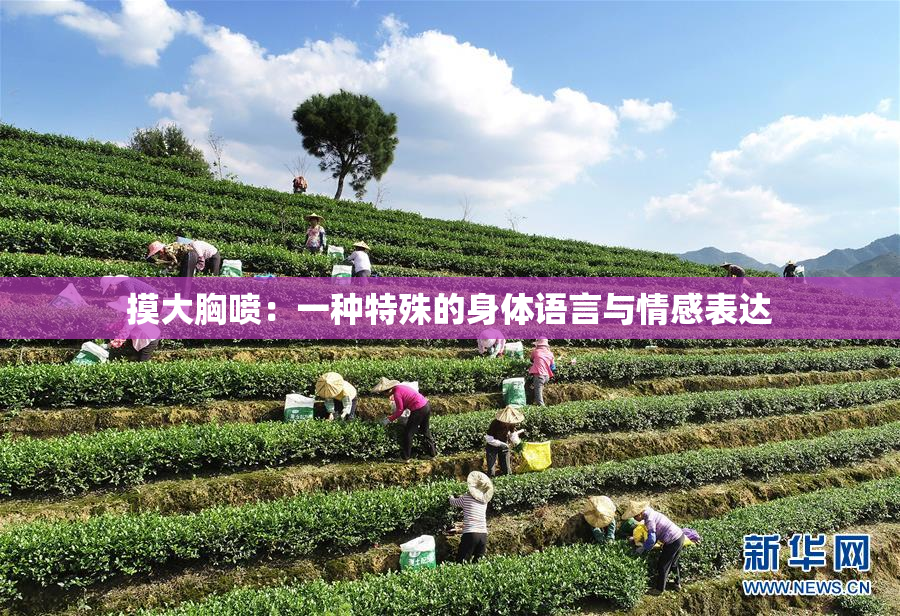 摸大胸喷：一种特殊的身体语言与情感表达