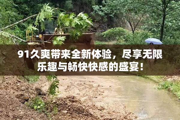 91久爽带来全新体验，尽享无限乐趣与畅快快感的盛宴！