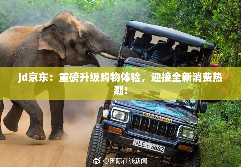jd京东：重磅升级购物体验，迎接全新消费热潮！