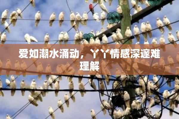 爱如潮水涌动，丫丫情感深邃难理解