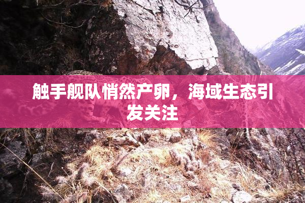 触手舰队悄然产卵，海域生态引发关注