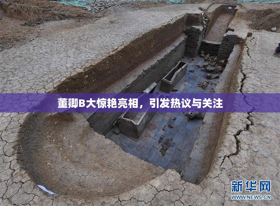 董卿B大惊艳亮相，引发热议与关注