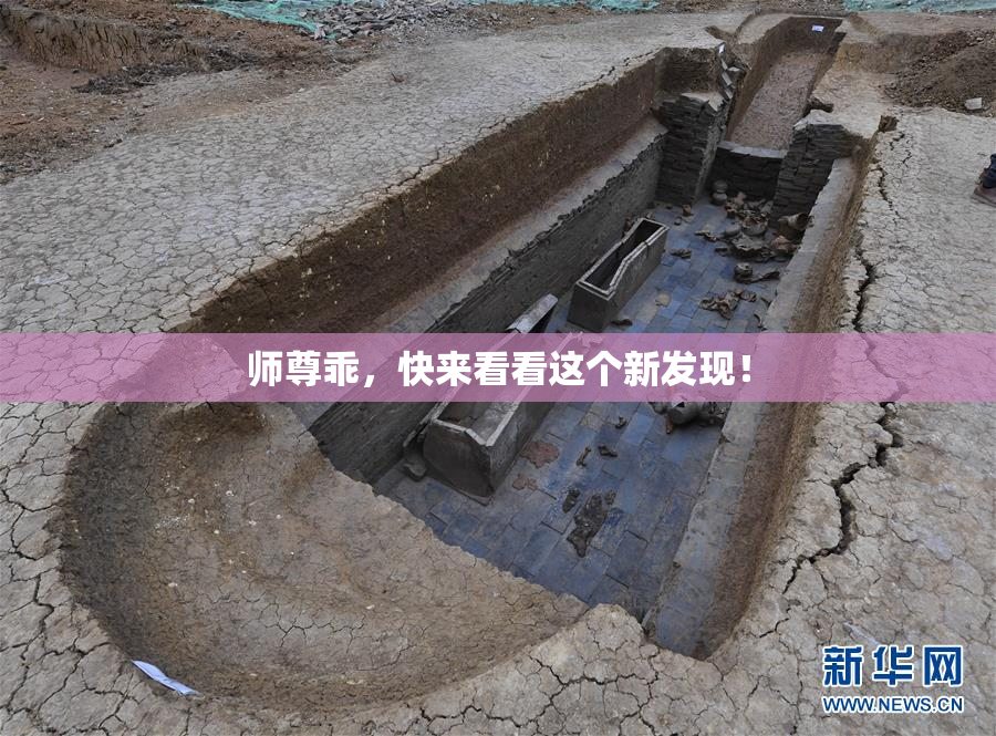 师尊乖，快来看看这个新发现！