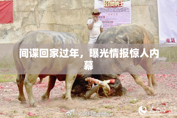 间谍回家过年，曝光情报惊人内幕