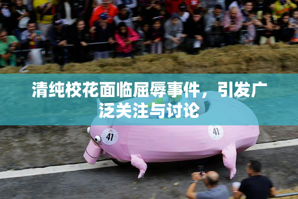 清纯校花面临屈辱事件，引发广泛关注与讨论