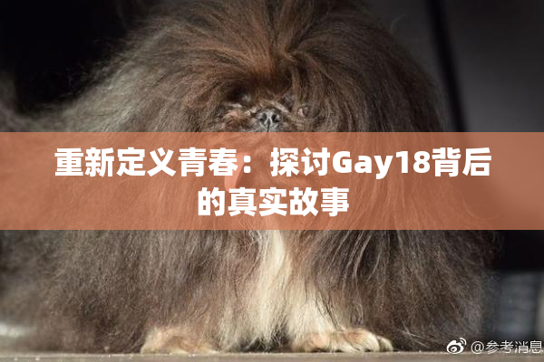 重新定义青春：探讨Gay18背后的真实故事