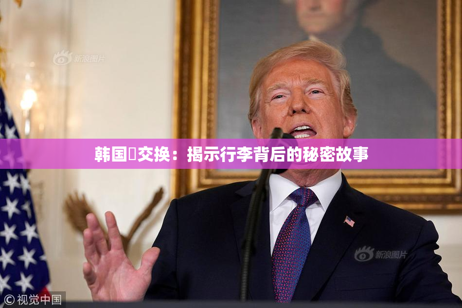 韩国巜交换：揭示行李背后的秘密故事