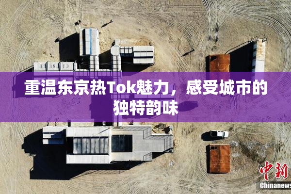 重温东京热Tok魅力，感受城市的独特韵味