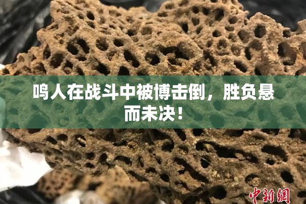 鸣人在战斗中被博击倒，胜负悬而未决！