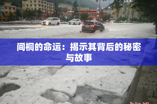 间桐的命运：揭示其背后的秘密与故事