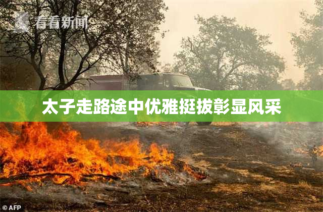 太子走路途中优雅挺拔彰显风采