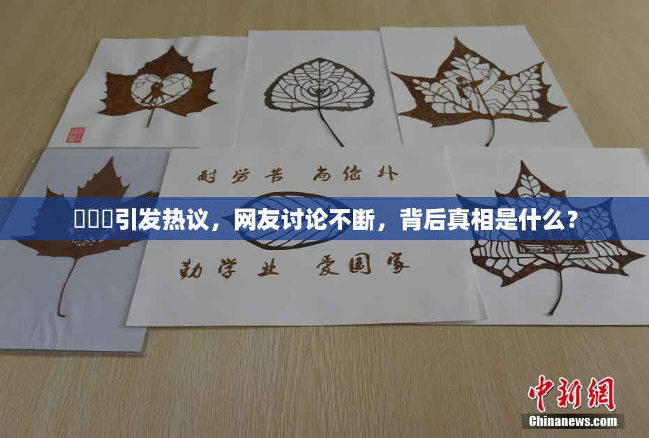 逹葢薾引发热议，网友讨论不断，背后真相是什么？