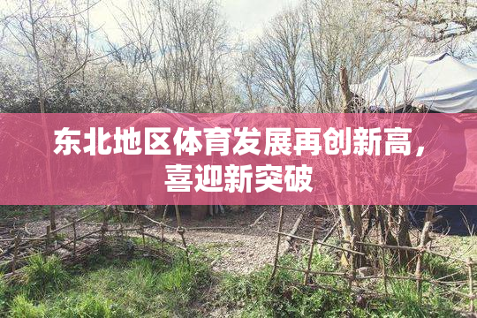 东北地区体育发展再创新高，喜迎新突破