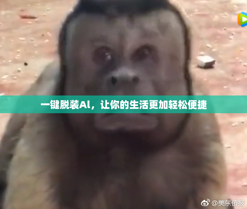 一键脱装Al，让你的生活更加轻松便捷