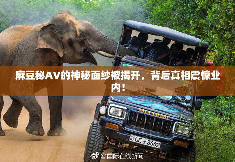 麻豆秘AV的神秘面纱被揭开，背后真相震惊业内！