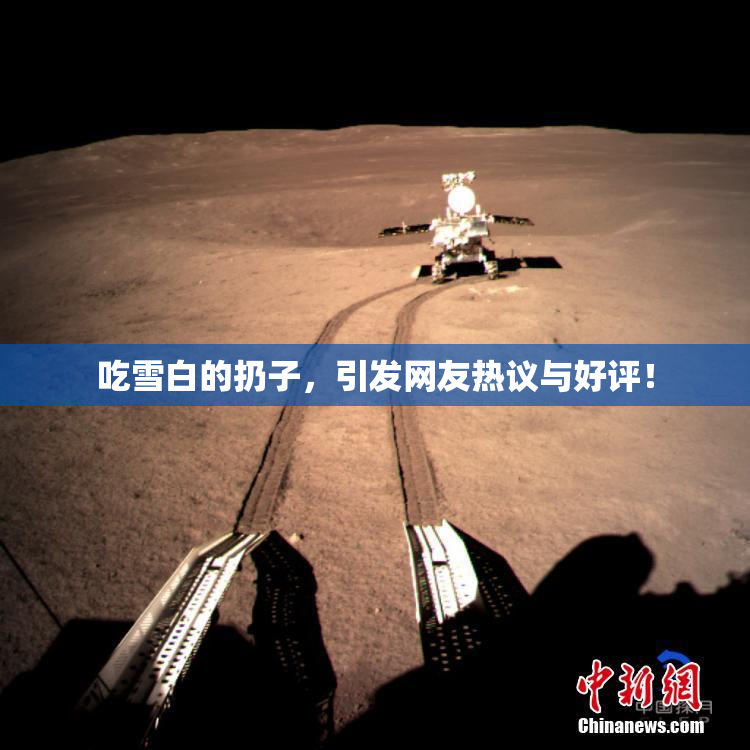 吃雪白的扔子，引发网友热议与好评！