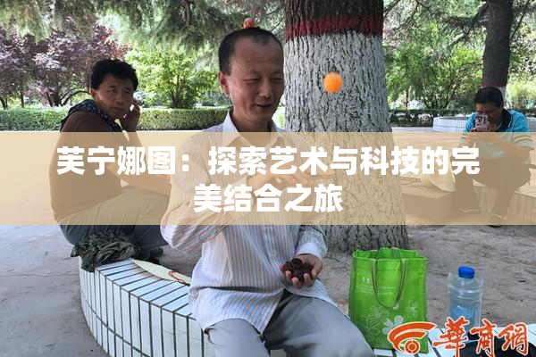 芙宁娜图：探索艺术与科技的完美结合之旅
