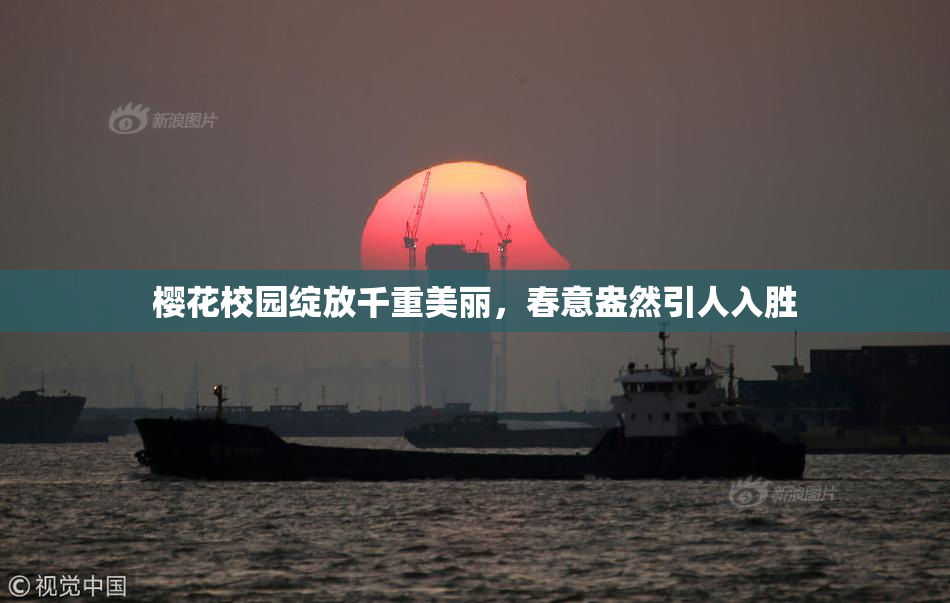 樱花校园绽放千重美丽，春意盎然引人入胜