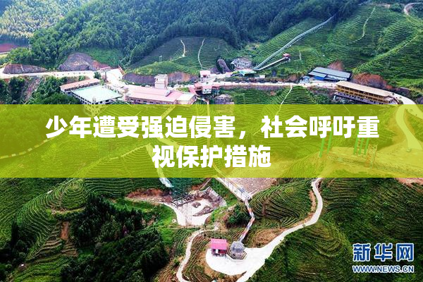 少年遭受强迫侵害，社会呼吁重视保护措施