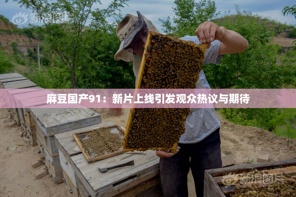 麻豆国产91：新片上线引发观众热议与期待