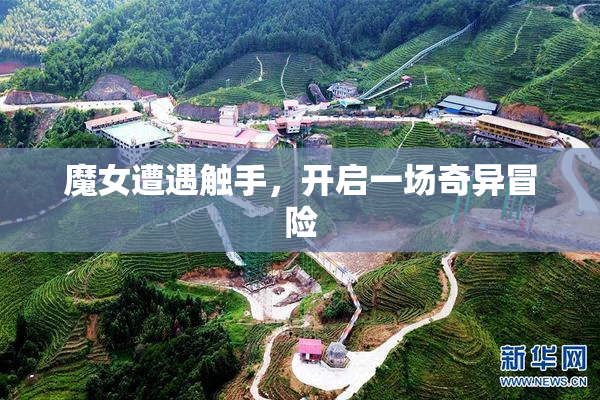 魔女遭遇触手，开启一场奇异冒险