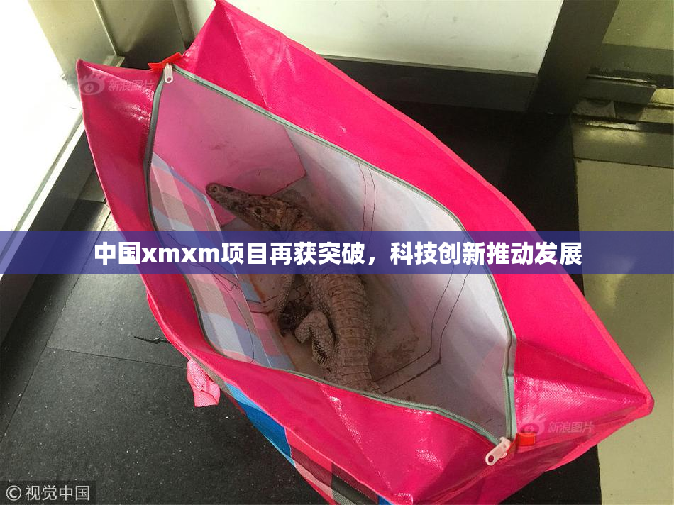 中国xmxm项目再获突破，科技创新推动发展