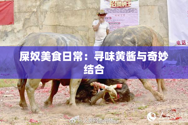 屎奴美食日常：寻味黄酱与奇妙结合
