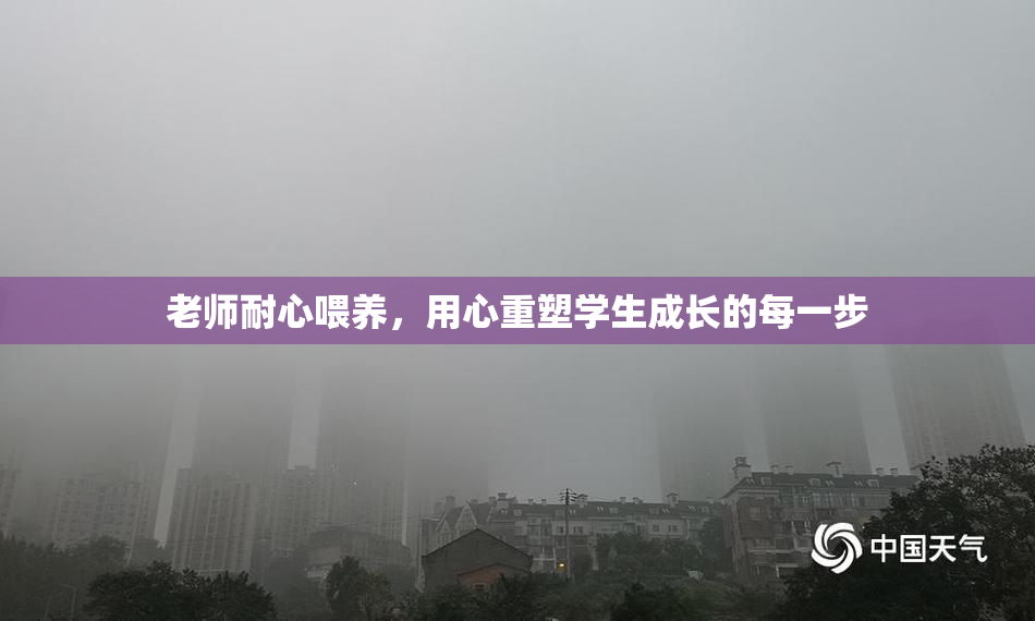 老师耐心喂养，用心重塑学生成长的每一步