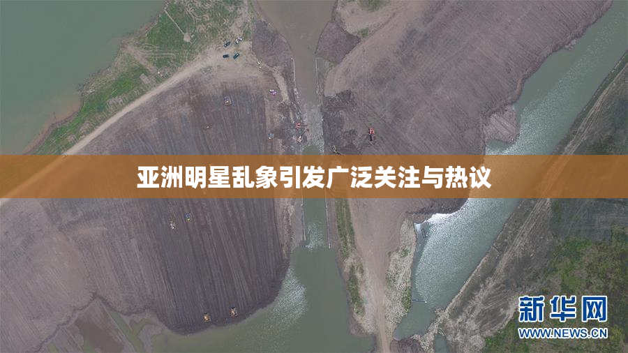 亚洲明星乱象引发广泛关注与热议