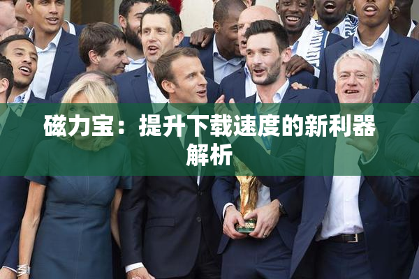 磁力宝：提升下载速度的新利器解析