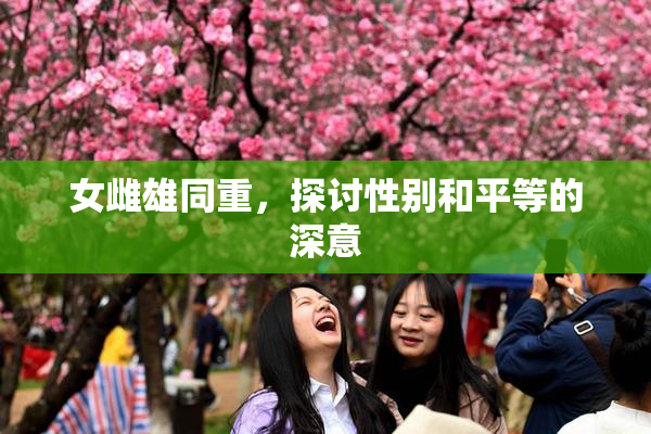 女雌雄同重，探讨性别和平等的深意