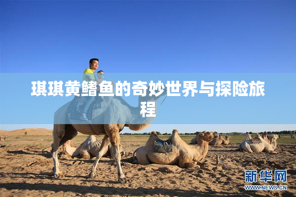 琪琪黄鳍鱼的奇妙世界与探险旅程