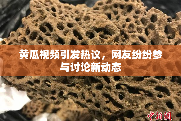 黄瓜视频引发热议，网友纷纷参与讨论新动态