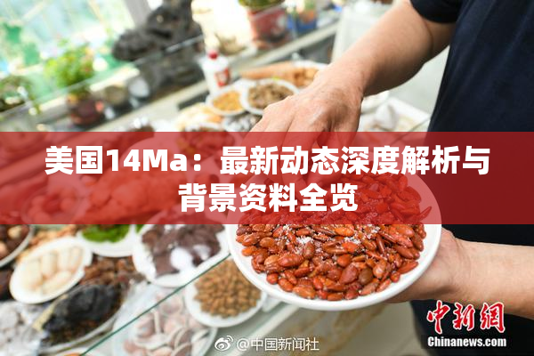 美国14Ma：最新动态深度解析与背景资料全览