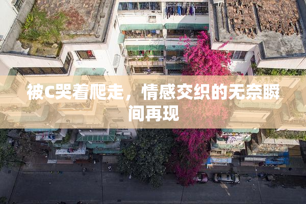 被C哭着爬走，情感交织的无奈瞬间再现