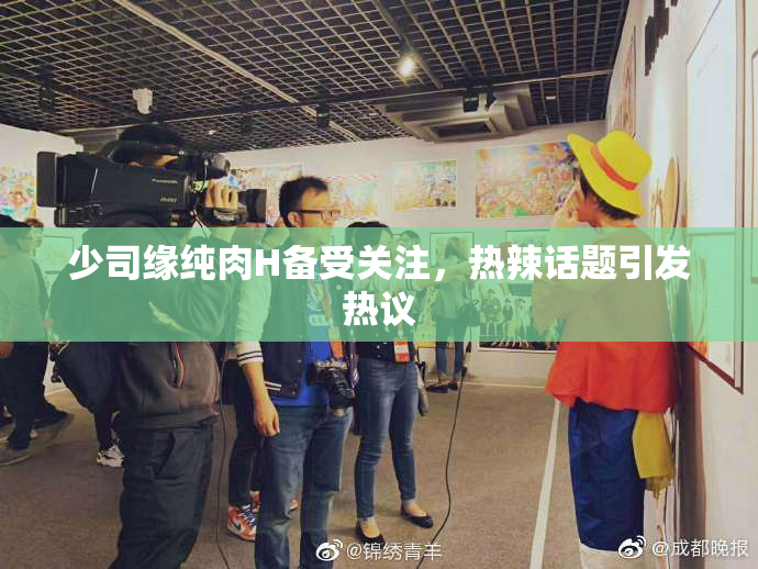 少司缘纯肉H备受关注，热辣话题引发热议