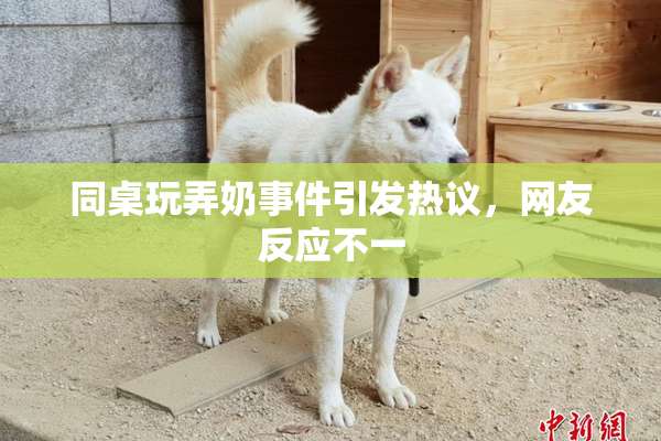 同桌玩弄奶事件引发热议，网友反应不一