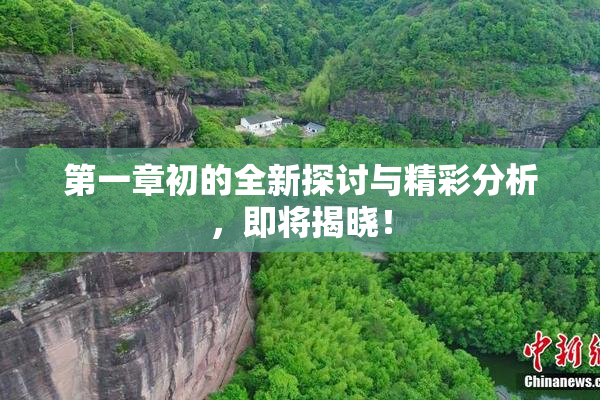 第一章初的全新探讨与精彩分析，即将揭晓！