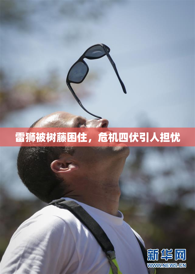雷狮被树藤困住，危机四伏引人担忧