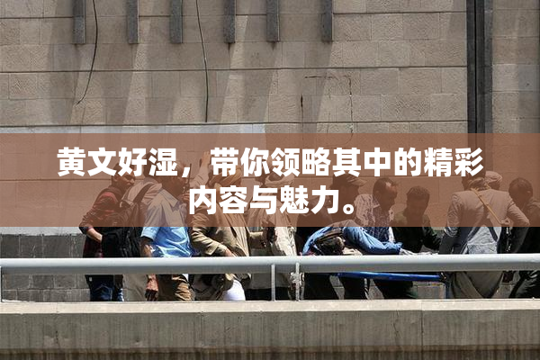 黄文好湿，带你领略其中的精彩内容与魅力。