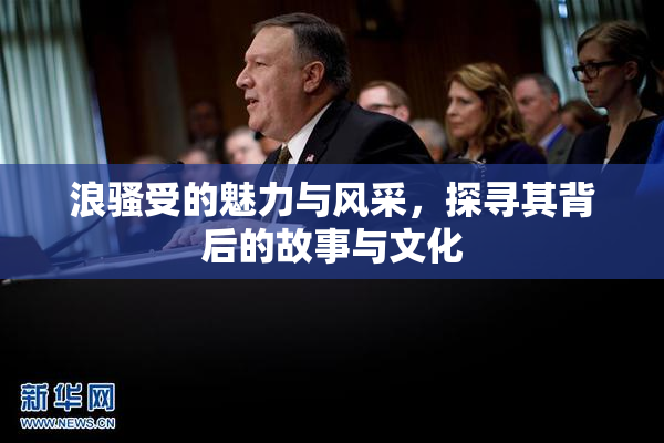 浪骚受的魅力与风采，探寻其背后的故事与文化