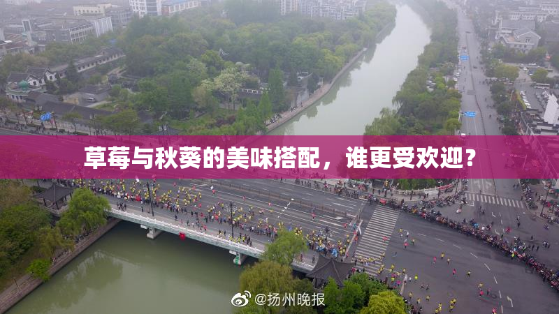 草莓与秋葵的美味搭配，谁更受欢迎？