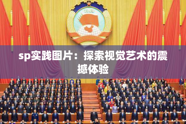 sp实践图片：探索视觉艺术的震撼体验